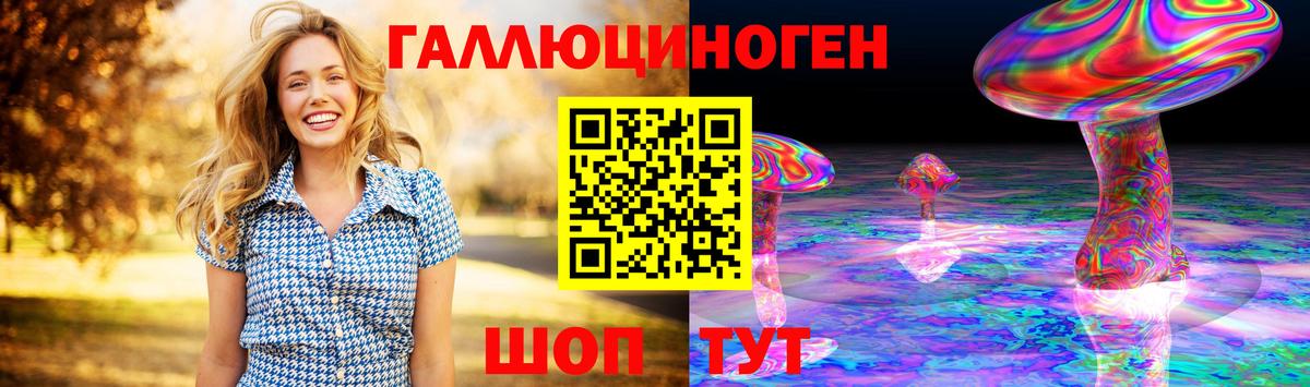 купить наркоту  Галлюциногенные грибы MAGIC MUSHROOMS  Вход с VPN  Чита  Галлюциногенные грибы Psilocybine cubensis 